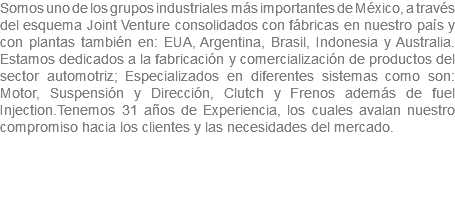 Somos uno de los grupos industriales más importantes de México, a través del esquema Joint Venture consolidados con fábricas en nuestro país y con plantas también en: EUA, Argentina, Brasil, Indonesia y Australia. Estamos dedicados a la fabricación y comercialización de productos del sector automotriz; Especializados en diferentes sistemas como son: Motor, Suspensión y Dirección, Clutch y Frenos además de fuel Injection.Tenemos 31 años de Experiencia, los cuales avalan nuestro compromiso hacia los clientes y las necesidades del mercado.