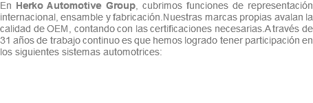 En Herko Automotive Group, cubrimos funciones de representación internacional, ensamble y fabricación.Nuestras marcas propias avalan la calidad de OEM, contando con las certificaciones necesarias.A través de 31 años de trabajo continuo es que hemos logrado tener participación en los siguientes sistemas automotrices: